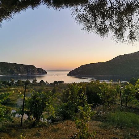 Porto Koufo Resort Bungalows Extérieur photo
