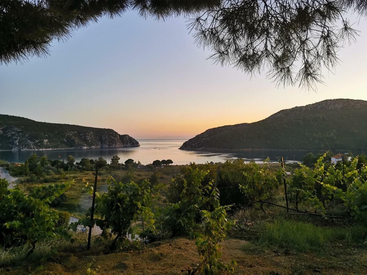 Porto Koufo Resort Bungalows Extérieur photo