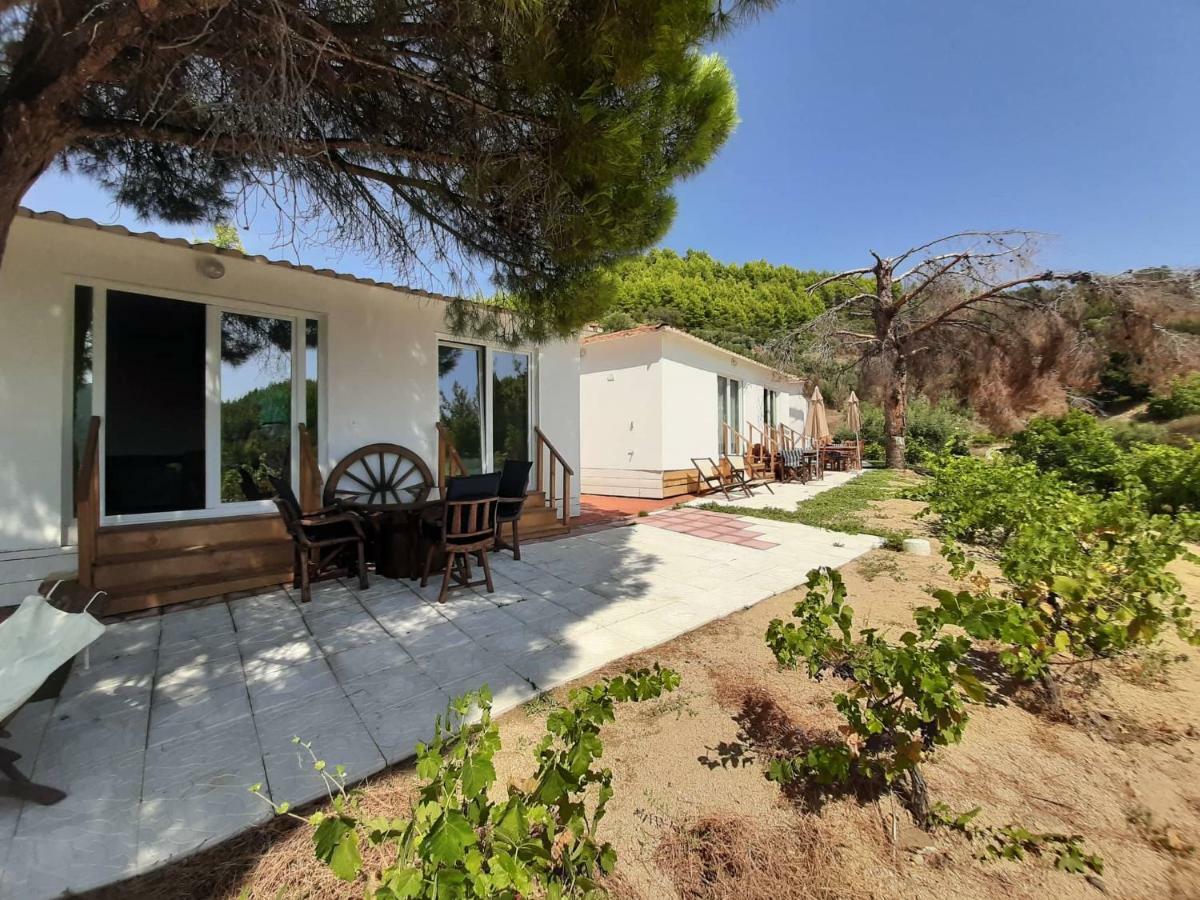 Porto Koufo Resort Bungalows Extérieur photo